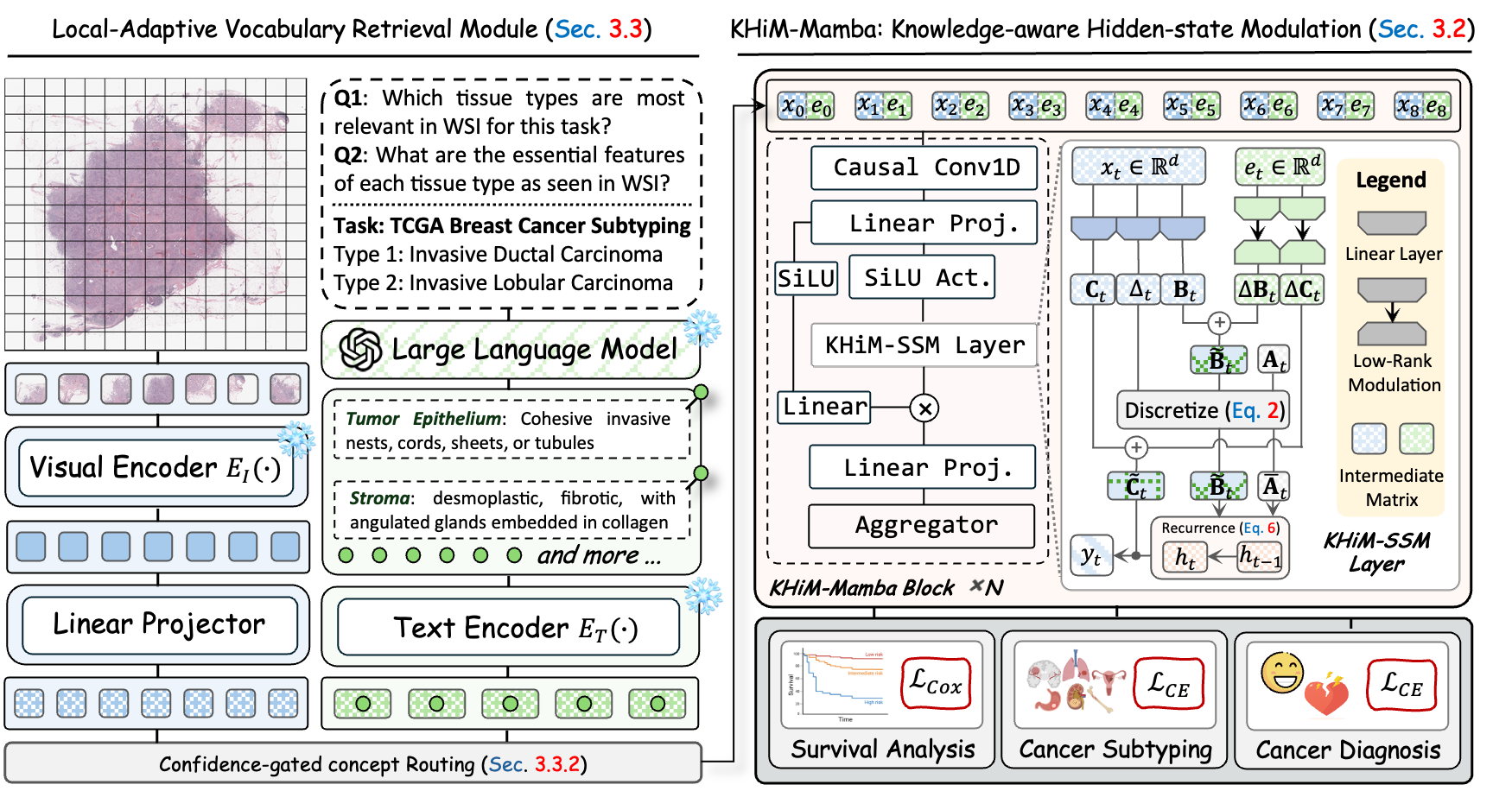 KHiM-Mamba: Injecting Pathology Knowledge into Mamba via Hidden-State Modulation for Whole Slide Image Analysis