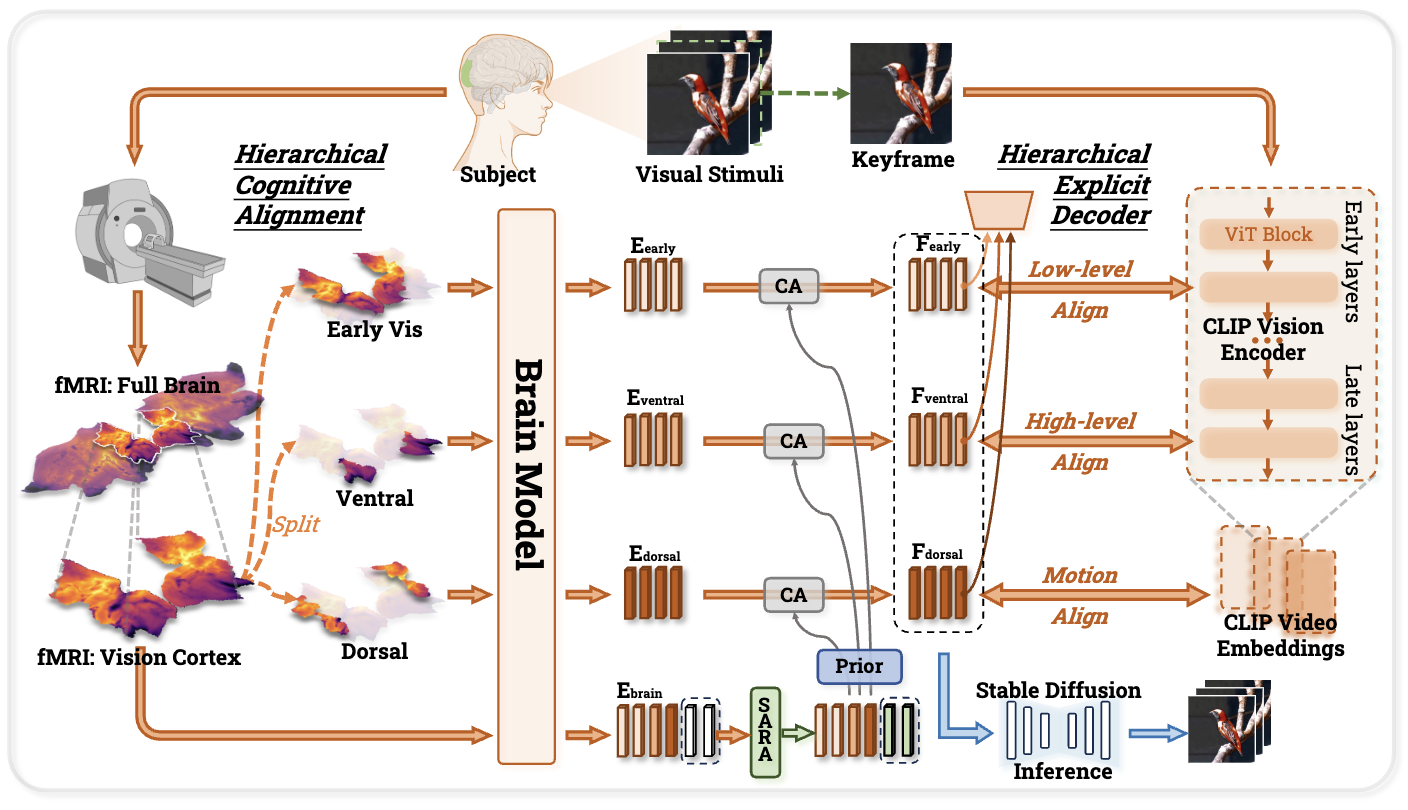 A Cognitive Process-Inspired Architecture for Subject-Agnostic Brain Visual Decoding