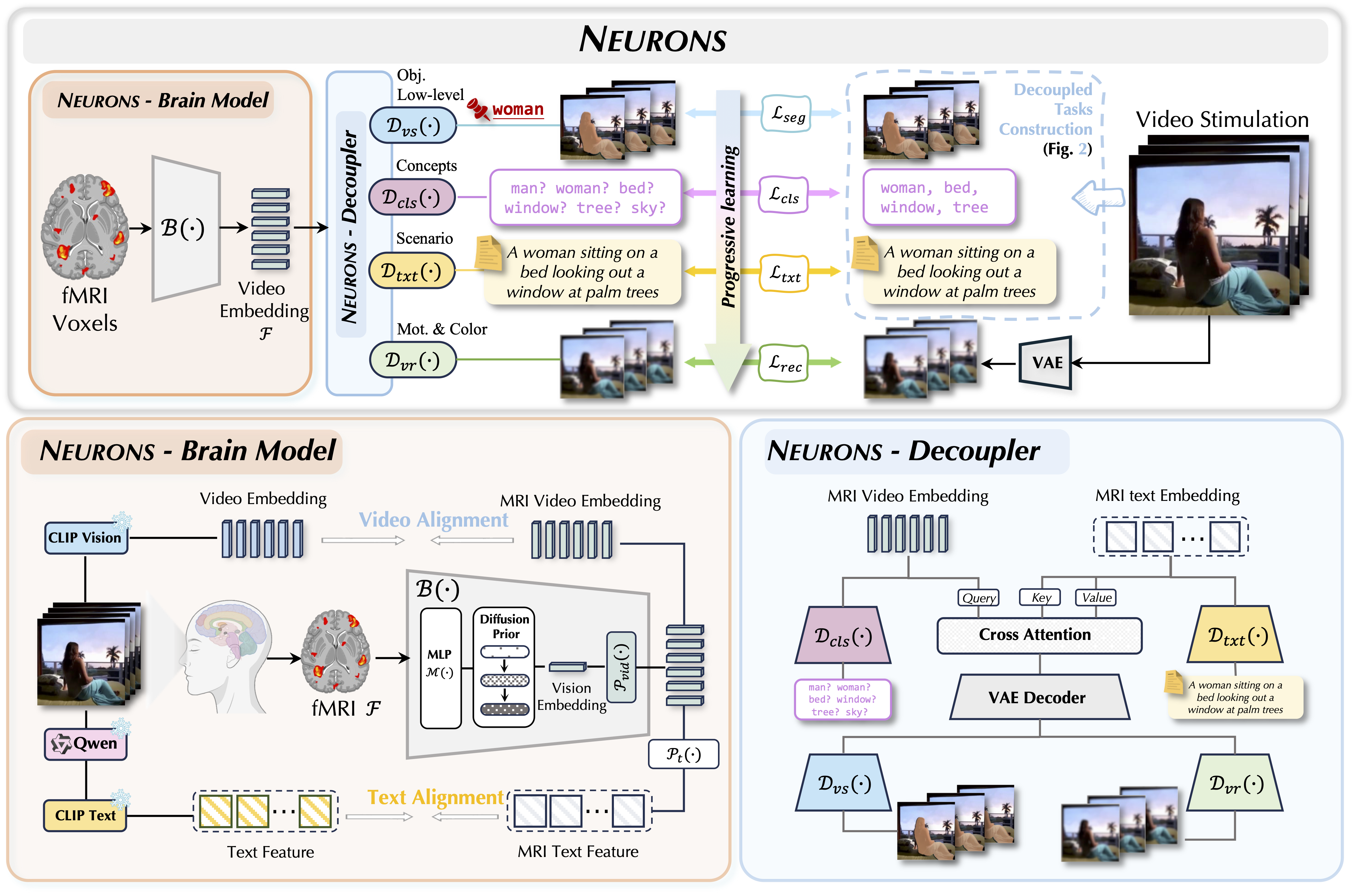 Neurons: Emulating the Human Visual Cortex Improves Fidelity and Interpretability in fMRI-to-Video Reconstruction
