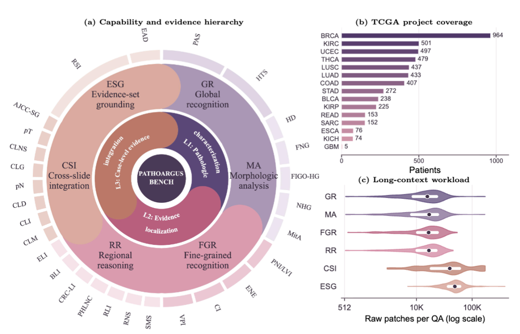 PathoArgus: Advancing Evidence-Grounded Long-Context Visual Reasoning across Gigapixel Whole-Slide and Multi-Slide Case Contexts